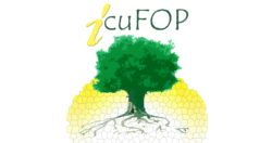 logo-icufop-1